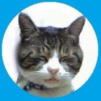 usayama猫吉(@usayama2neko) 's Twitter Profileg