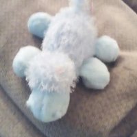 Minty Michael (@mintymichael) 's Twitter Profile
