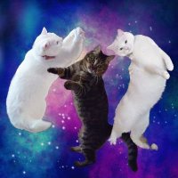 お豆腐ブラザーズ (@otofu_brothers) 's Twitter Profile Photo お豆腐ブラザーズ (@otofu_brothers) 's Twitter Profile Photo