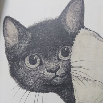 猫だけには優しい人でありたい。
モンハンとゴーストオブツシマと映画と食べる事が好き。
どうでもいい独り言をつぶやきます。