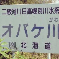 ﾔリキレナ彳皮🎉 (@uniqlosage) 's Twitter Profile