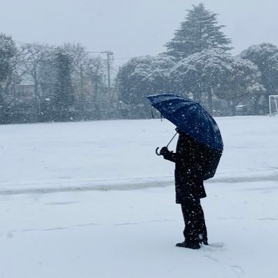 tomo_tokyo_tech's profile picture. KF→Science Tokyo 22B/クラロワ🌎#7038,#7390/原神/piano