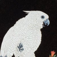 cogitare (@mrcs_tlls_ccr) 's Twitter Profile