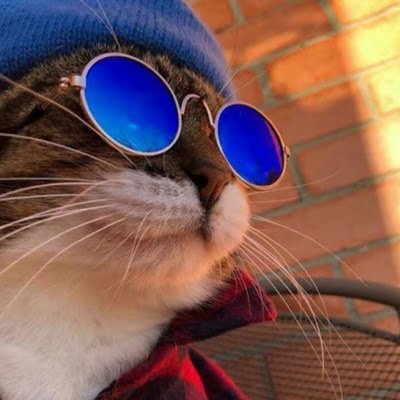 RoshelynProtac1's profile picture. 