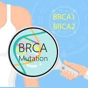 BRCA 1 (@brca__1) 's Twitter Profile
