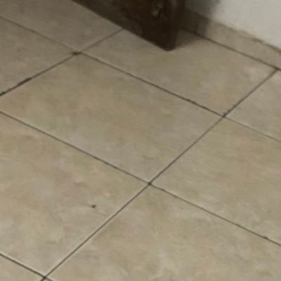 Ezequie13976951's profile picture. 