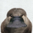 紫水(しすい)のアイコン