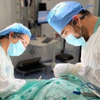 DrBr (@sjsc96) 's Twitter Profile