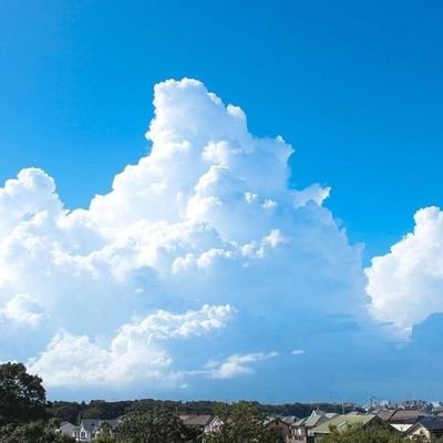 VBPx118Di9yD1fU's profile picture. 20↑夢小説なんでも大好き社会人です❤
今日も推しが尊い😇