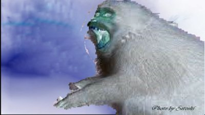 KAKEISHIRopad's profile picture. 