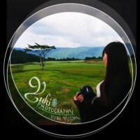 Yuki Yuchi(結内ゆき) *野鳥写真時々空*.。.:*☆ (@yukiyuchi2) 's Twitter Profile