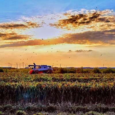 purpleinkno1's profile picture. 有fo必回，互fo100%