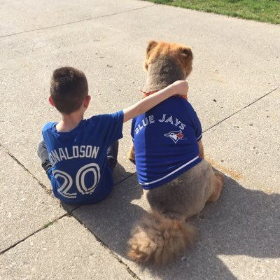 Hi my name is Lisa I have 3 step kids ,a 8 yr old boy and 4 chow chows !!!! I love entering contests !!! Huge Blue Jays Fan