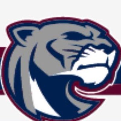 CTLadyCougars Profile Picture