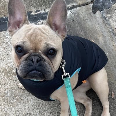 DDgluck8's profile picture. 