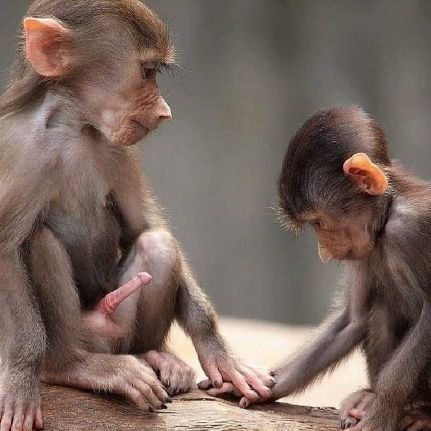 ETHANDAM2311's profile picture. No soy yo