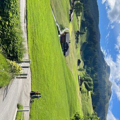 swandenepole's profile picture. 