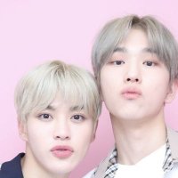 💚îsah💚BAEK-MIN💚👉 saw SVT!! (@isah_baekmin) 's Twitter Profile