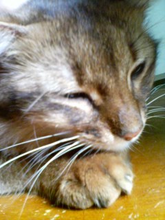 沖縄出身。死ぬまで編んでられる生活を送る...予定!!!子育てと家事と編み物と…