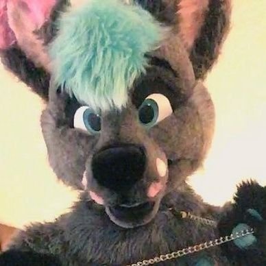 KhalifaKnotWiz's profile picture. Private Account. Mutuals and 18+ Only Please