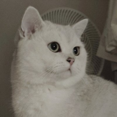 ShawnloneH's profile picture. A game art designer who enjoys experimenting with new technology.