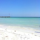 Jennifer Courson - @Noles0208 - Twitter