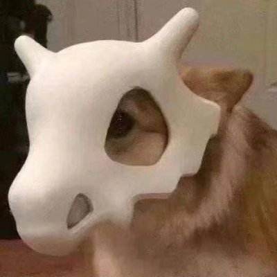 ANAlinjian's profile picture. 🐮