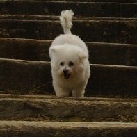 皮皮ピピさんのプロフィール画像