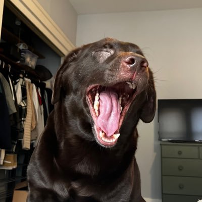 highsag13's profile picture. 