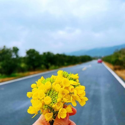 pnqq8's profile picture. 中国江西省吉安市的一个如诗如画的地方！