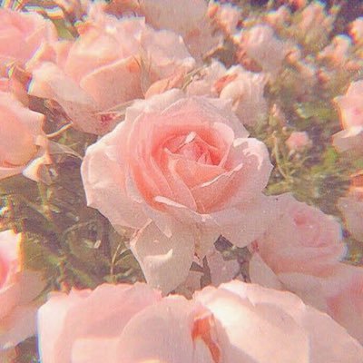 mio80156's profile picture. 成人済、ROM専⭐︎好きなもの✨猫、シュチュボ、ゲーム、アニメ、ドールなど。無言フォロー&ふぁぼ失礼します🙇‍♀️🩷