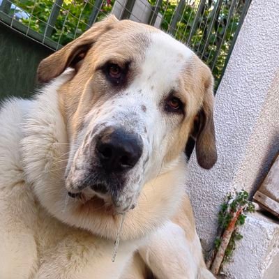 ChrisFilkinis's profile picture. better alone ...🇬🇷