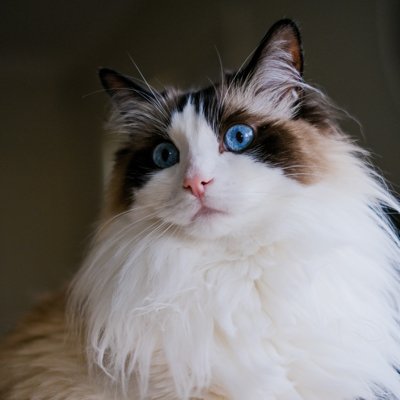 hhhhnkkn's profile picture. 事已至此 先吃饭吧