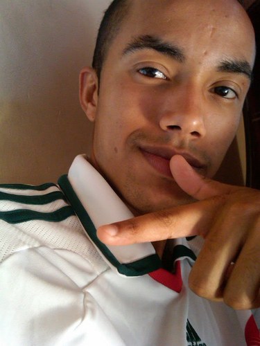 palmeiras