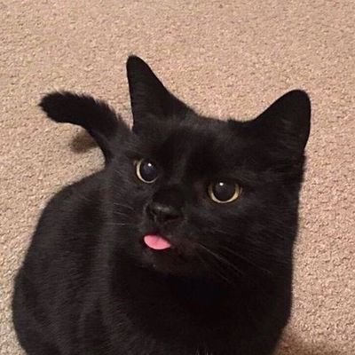 Fugasekh's profile picture. 