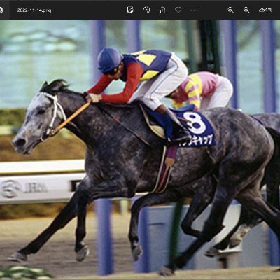 hyoltuko's profile picture. オグリキャップの時くらいから競馬にはまってはや三十数年、でも、おもろいので、やめられまへんな！で60歳還暦を迎えた時に血液の癌と告知されました2025年1月に自家移植の治療を終えて現在病気は寛解状態です、残り短い人生、競馬も含めて楽しんでまいります😁