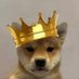 osama man (@pooper_scoop17) Twitter profile photo osama man (@pooper_scoop17) Twitter profile photo