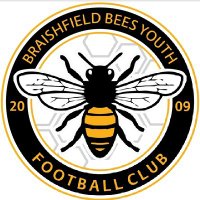 Braishfield Bees Youth Football Club (@beesyfc) 's Twitter Profile