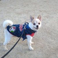 ひろちゃん (@0518hirorin) 's Twitter Profile