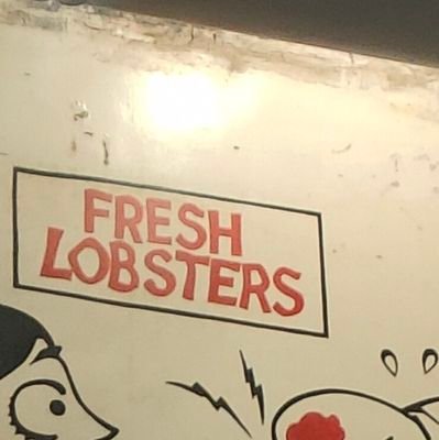 _anusaka_'s profile picture. she/her just pretend you've read something witty here.