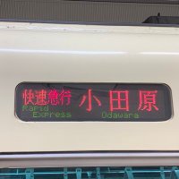 ごーはち (@soo_k9) Twitter profile photo