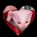 littel man .. . (@apollomei) Twitter profile photo littel man .. . (@apollomei) Twitter profile photo