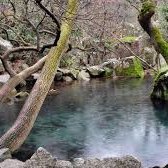 Pizzi Mauro(💙,🧡) (@pizzimauro11) 's Twitter Profile