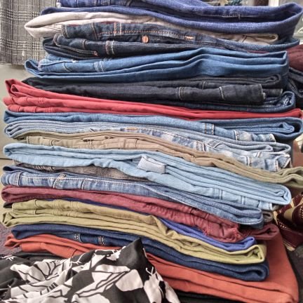 GatorSylviane's profile picture. 