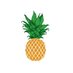 The Pineapple (@thepineapple_au) Twitter profile photo