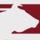 D&P Dear - Quality Beef Finishing (@cattlefinishers) 's Twitter Profile