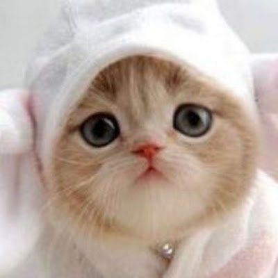 MitaliS00334457's profile picture. 