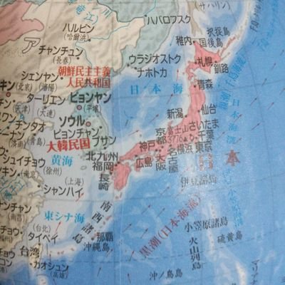 todopi's profile picture. 2013年から2ちゃんねるで活躍、大阪ﾊｼｼﾀ知事、市長と戦いました。(〃ﾟωﾟ)ノﾌｼﾞｲｼﾄ 。 それから安倍総理、菅総理を陰から支えました。(ºωº)しかし2022年規制でｶｷｺ出来なくなりTwitterに移籍、今に至ります、(´ω`)ﾖﾛｼｸﾈ