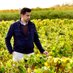 Alberto Moya | Winemaker (@AlbertoMoya_) Twitter profile photo