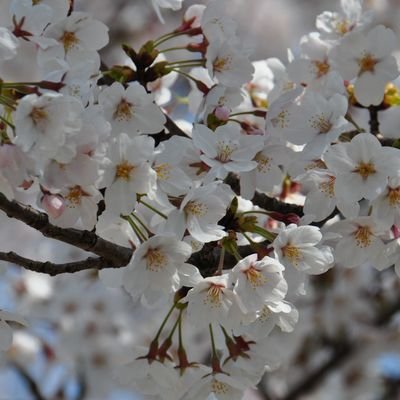 kitasuki's profile picture. 夏は避暑地めぐりに出掛けます。